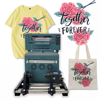 Machine à imprimer des T-shirts de 300 mm, machine à imprimer par jet d'encre DTF, avec secère et shaker